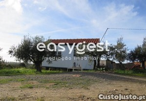 imagem_15