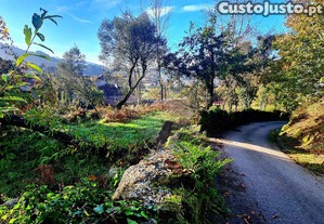 imagem_9