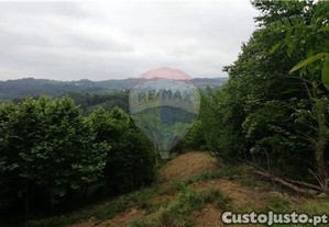imagem_7