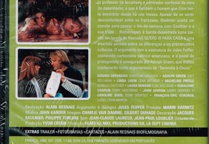 imagem_3