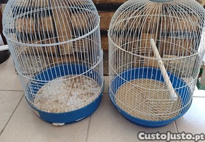 imagem_6