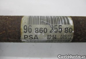 imagem_5