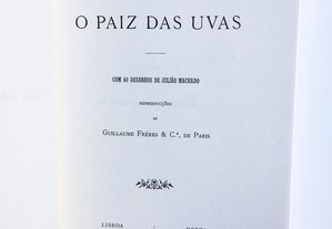 imagem_2