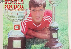 imagem_1