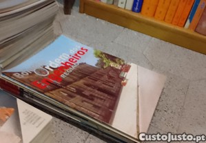 imagem_11