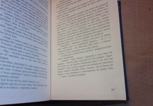 imagem_8