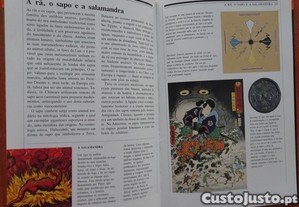 imagem_5