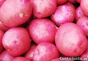 imagem_1