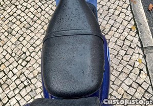 imagem_19