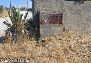 imagem_6