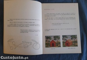 imagem_5