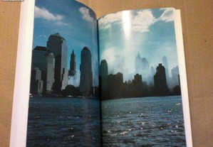 imagem_7