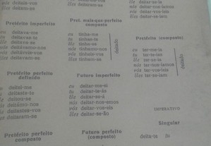 imagem_2