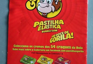 imagem_3