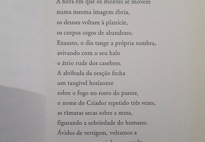 imagem_6