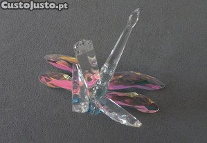 imagem_6