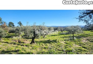 Terrenos em POSSACOS com 28895m2