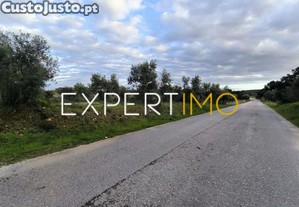 imagem_17