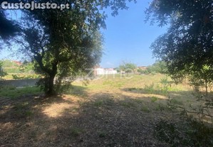 Terreno Rustico