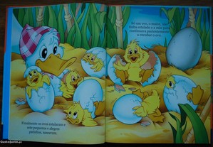 imagem_2