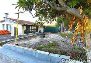 imagem_24