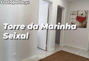 imagem_8