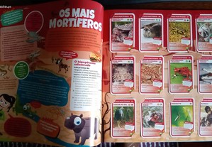 imagem_8