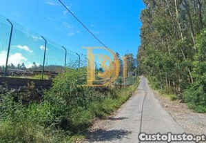 imagem_7