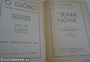 imagem_6