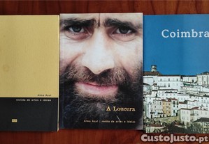 imagem_2