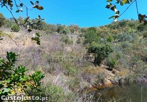 imagem_32