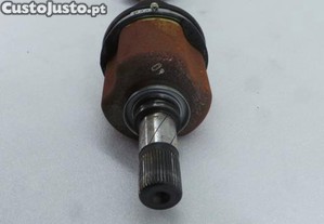 imagem_5