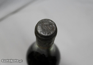 imagem_5