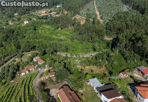 imagem_7