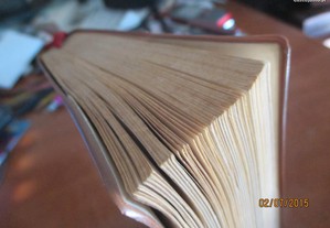 imagem_7