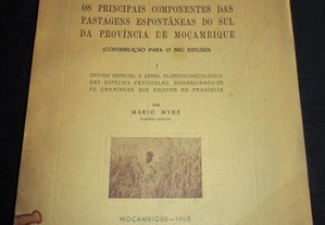 Livro Os principais componentes das pastagens espontâneas do sul da província de Moçambique Mário Myre