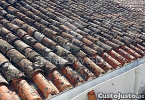 imagem_17