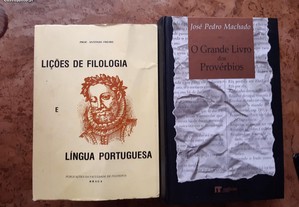 Obras de António Freire e José Pedro Machado