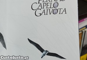 imagem_2