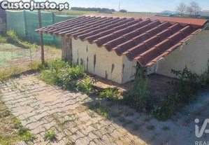 imagem_37