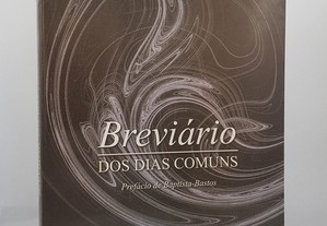 Luís Fontoura // Breviário dos Dias Comuns