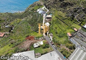 imagem_21