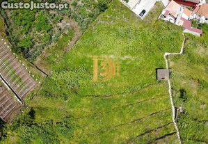 imagem_10