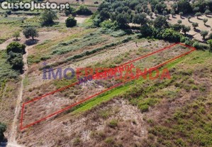 Terreno em soalheira
