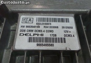 imagem_3
