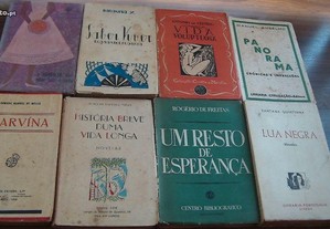 imagem_6
