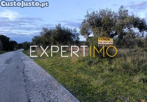 imagem_24