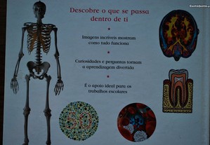 imagem_7