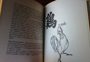 imagem_8