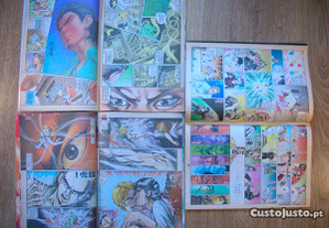 imagem_2